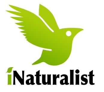 Onderzoek logo inaturalist