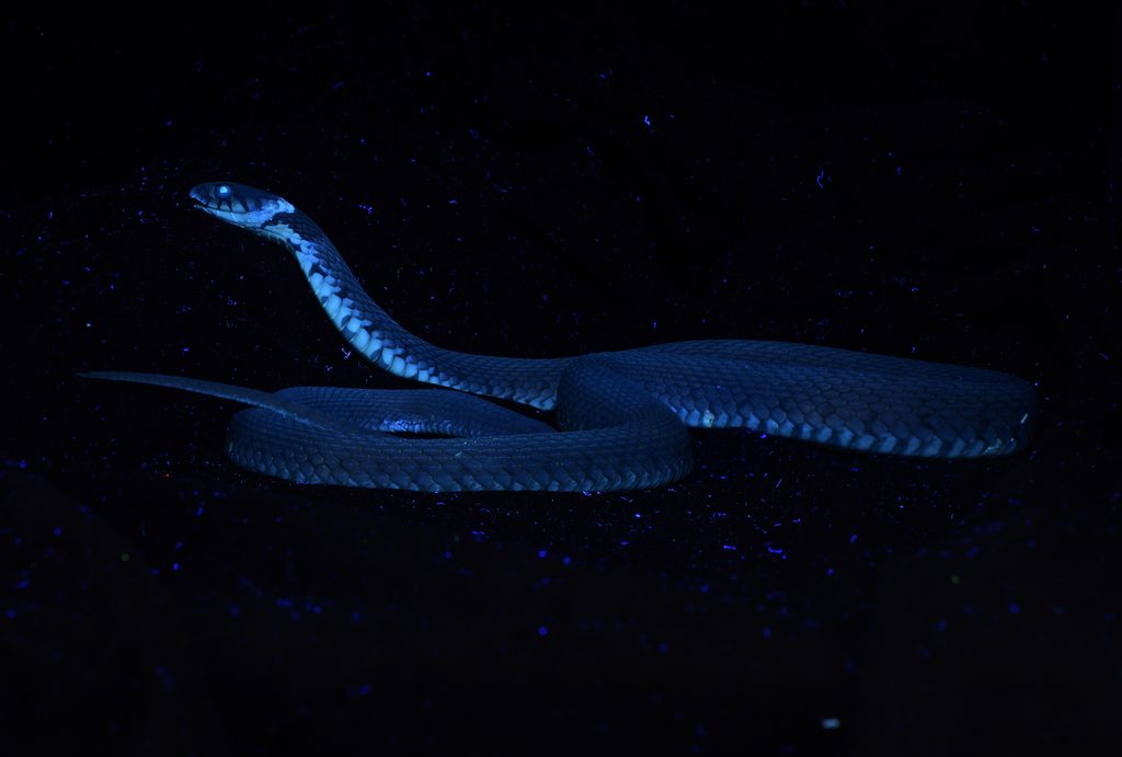 stacked from 2 images. method=b (r=8,s=4)