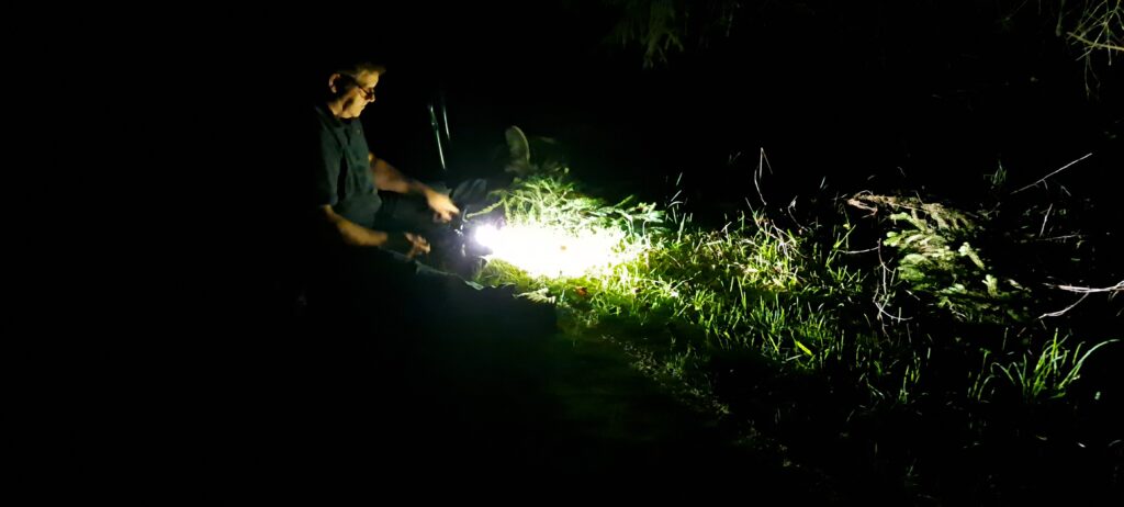 UV-lampen & apparatuur 20260927 202553